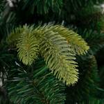 Sapin de Noël artificiel Ebbi Polyéthylène - Vert - ∅ 116 cm - Hauteur : 180 cm