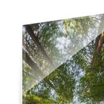 Quadro di vetro Chiome degli alberi Verde - 30 x 80 x 0,4 cm - 30 x 80 cm