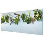 Quadro di vetro Erbe da cucina Verde - 125 x 50 x 0,4 cm