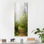 Quadro di vetro Foresta nella nebbia Verde - 50 x 125 x 0,4 cm - 50 x 125 cm