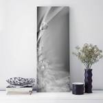 Tableau en verre Story of a Waterdrop II Noir et blanc - 125 x 50 x 0,4 cm - 125 x 50 cm