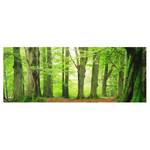 Glazen afbeelding Mighty Beech Trees groen - 125 x 50 x 0,4 cm