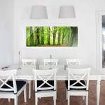 Quadro di vetro Mighty Beech Trees Verde - 125 x 50 x 0,4 cm