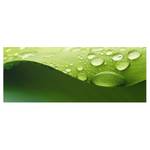 Glazen afbeelding Drops of Nature groen - 80 x 30 x 0,4 cm - 80 x 30 cm