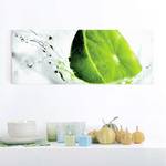Glasbild Splash Lime Mehrfarbig - 125 x 50 x 0,4 cm
