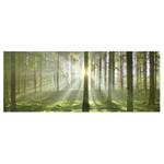 Glazen afbeelding Spring Fairytale groen - 125 x 50 x 0,4 cm