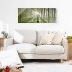 Tableau en verre Spring Fairytale Vert - 125 x 50 x 0,4 cm