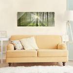 Tableau en verre Spring Fairytale Vert - 125 x 50 x 0,4 cm