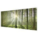 Glazen afbeelding Spring Fairytale groen - 125 x 50 x 0,4 cm
