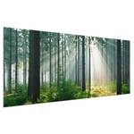Glasbild Enlightened Forest Grün - 125 x 50 x 0,4 cm