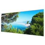 Glazen afbeelding Hidden Paradise blauw - 125 x 50 x 0,4 cm - 125 x 50 cm