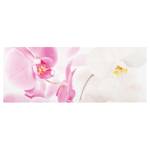 Glasbild Delicate Orchids Pink - 80 x 30 x 0,4 cm - 80 x 30 cm