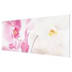 Tableau en verre Delicate Orchids Rose - 80 x 30 x 0,4 cm - 80 x 30 cm
