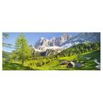 Glazen afbeelding Steiermark Alpenweide groen - 125 x 50 x 0,4 cm - 125 x 50 cm