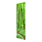 Quadro di vetro Sentiero nella foresta Verde - 50 x 125 x 0,4 cm - 50 x 125 cm