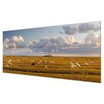 Glazen afbeelding Noordzee Vuurtoren groen - 80 x 30 x 0,4 cm - 80 x 30 cm