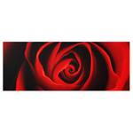 Quadro di vetro Rose Rosso - 125 x 50 x 0,4 cm