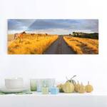 Glazen afbeelding Landweg bij Avondzon geel - 125 x 50 x 0,4 cm