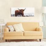 Glazen afbeelding Bison in de Highlands wit - 125 x 50 x 0,4 cm