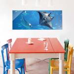 Glazen afbeelding Manta Ray blauw - 80 x 30 x 0,4 cm - 80 x 30 cm