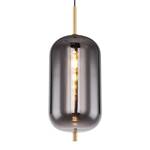 Pendelleuchte Blacky VI Glas / Eisen - 1-flammig