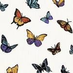 Fotomurale Farfalle Perle Multicolore - 0,52 m  x 10,05m  x 0,02m