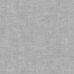 Papier peint intissé Concrete Beton Gris - 0,52 x 10,05 x 0,02 m - Gris