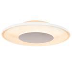 Lampada da soffitto a LED Modesto Vetro acrilico - 1 punto luce