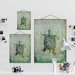 Wandkleed Collage Antieke Schildpad textiel & massief hout (houtsoort) - turquoise - 100cm x 133,5cm x 0,3cm - 100 x 134 cm