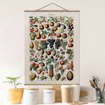 Tableau déco Vintage Botanique Fruits Toile et bois massif - Multicolore - 100 cm x 133,5 cm x 0,3 cm - 100 x 134 cm