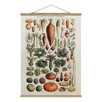 Tableau déco Vintage Botanique Légumes Toile et bois massif - Vert - 100 cm x 133,5 cm x 0,3 cm - 100 x 134 cm