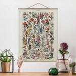 Stoffbild Vintage Lehrtafel Blumen V Textil; Massivholz (Holzart) - Mehrfarbig - 100cm x 133,5cm x 0,3cm - 100 x 134 cm
