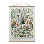 Stoffbild Vintage Lehrtafel Blumen I Textil; Massivholz (Holzart) - Mehrfarbig - 100cm x 133,5cm x 0,3cm - 100 x 134 cm