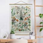 Stoffbild Vintage Lehrtafel Blumen I Textil; Massivholz (Holzart) - Mehrfarbig - 100cm x 133,5cm x 0,3cm - 100 x 134 cm