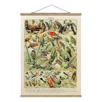 Wandkleed Vintage Vogels textiel & massief hout (houtsoort) - meerdere kleuren - 100cm x 133,5cm x 0,3cm - 100 x 134 cm