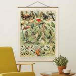 Stoffbild Vintage Lehrtafel Vögel Textil; Massivholz (Holzart) - Mehrfarbig - 100cm x 133,5cm x 0,3cm - 100 x 134 cm