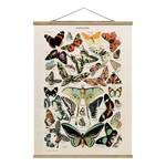 Tableau déco Vintage Papillons Toile et bois massif - Multicolore - 100 cm x 133,5 cm x 0,3 cm - 100 x 134 cm