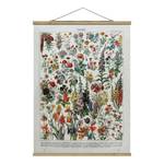Tableau déco Vintage Botanique Fleurs IV Toile et bois massif - Multicolore - 100 cm x 133,5 cm x 0,3 cm - 100 x 134 cm