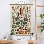 Tableau déco Vintage Botanique Légumes Toile et bois massif - Vert - 35 cm x 46,5 cm x 0,3 cm - 35 x 47 cm