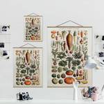 Stoffbild Vintage Lehrtafel Gemüse Textil; Massivholz (Holzart) - Grün - 35cm x 46,5cm x 0,3cm - 35 x 47 cm