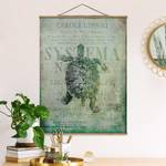 Wandkleed Collage Antieke Schildpad textiel & massief hout (houtsoort) - turquoise - 50cm x 66,4cm x 0,3cm - 50 x 66 cm