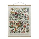 Wandkleed Vintage Bloemen II textiel & massief hout (houtsoort) - meerdere kleuren - 80cm x 106,5cm x 0,3cm - 80 x 107 cm