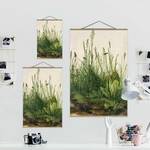Tableau déco Étude d’herbes Toile et bois massif - Vert - 50 cm x 75 cm x 0,3 cm - 50 x 75 cm