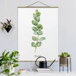 Stoffbild Aquarell Botanik Eukalyptus Textil; Massivholz (Holzart) - Weiß - 35cm x 46,5cm x 0,3cm - 35 x 47 cm