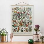 Tableau déco Vintage Botanique Fleurs II Toile et bois massif - Multicolore - 35 cm x 46,5 cm x 0,3 cm - 35 x 47 cm
