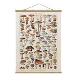 Stoffbild Vintage Lehrtafel Pilze Textil; Massivholz (Holzart) - Beige - 35cm x 46,5cm x 0,3cm - 35 x 47 cm