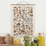 Stoffbild Vintage Lehrtafel Pilze Textil; Massivholz (Holzart) - Beige - 35cm x 46,5cm x 0,3cm - 35 x 47 cm