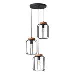 Suspension Tosh II Fer - 3 ampoules