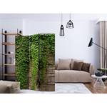 Paravent Ivy wall Intissé sur bois massif - Vert - 3 éléments