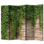 Paravent Ivy wall Intissé sur bois massif - Vert - 5 éléments